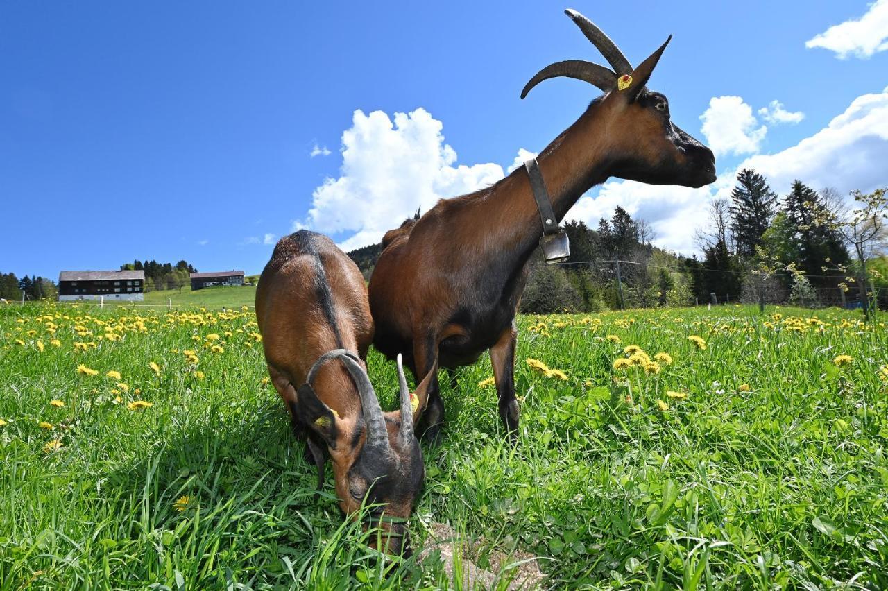 Bauernhof Bilgeri Vila Hittisau Exterior foto