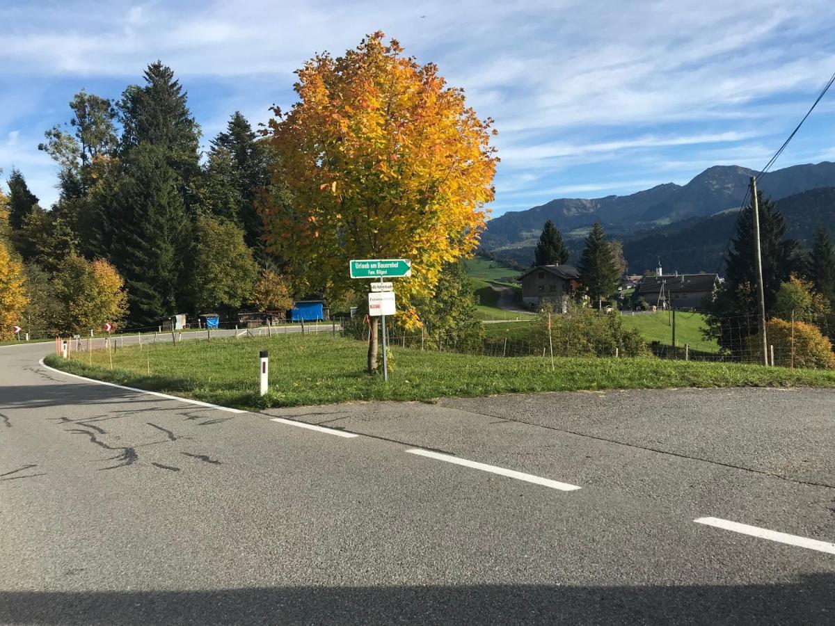Bauernhof Bilgeri Vila Hittisau Exterior foto