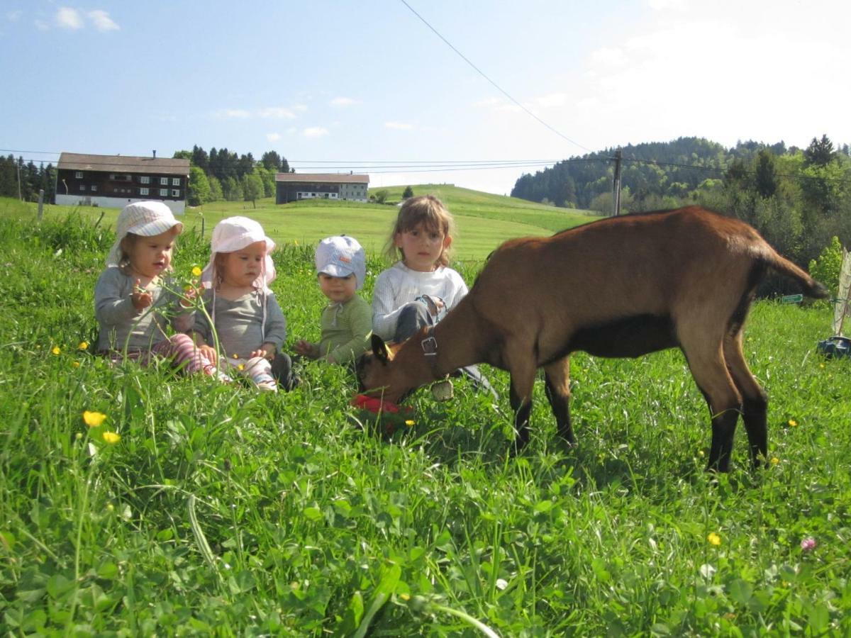 Bauernhof Bilgeri Vila Hittisau Exterior foto
